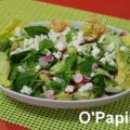 Mesclun de printemps, Recette Ptitchef