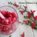 Infusion de fleurs d'hibiscus en granité