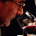 3 suggestions de vins chiliens en l'honneur de[...]