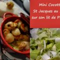 Mini Cocotte de St jacques au safran sur son[...]