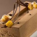 Bûche glacée au chocolat et à la mangue