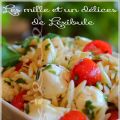 ~Salade d'orzo aux tomates et aux brocconcinis~