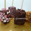 Marshmallows Pops. Sucettes de Marshmallows.
