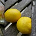 Cake Pomme - Citron - Pavot