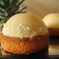 Palets exotiques (entremets mangue, passion,[...]