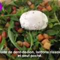 Salade de dent-de-lion, lardons rissolés et œuf[...]