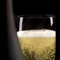 Actu : Champagne