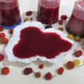 Coulis de fruits rouges (conserves)