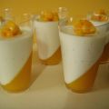 Panna cotta vanille, mangue & fruits de la[...]