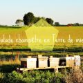 Rencontre avec Vianney Janssens, apiculteur à[...]