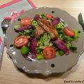 [Entrée de fête] Salade gourmande au foie gras[...]