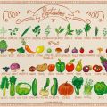 Les fruits et légumes de saison : septembre