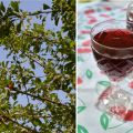 Vin de cerises