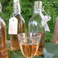 Vin Doux de Feuilles de Figuier