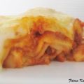 Lasagne épicée à ma façon