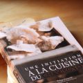 Une inititation aux champignons