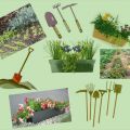 Astuces jardinage