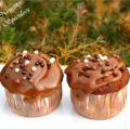 MUFFINS POMMES/NOISETTES ET SPÉCULOOS