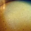 Recette du fumet de poisson