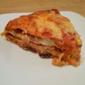 Lasagne de tortillas végétarienne