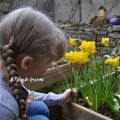 TAG mère-fille