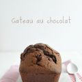 Gâteau au chocolat rapide