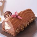 Bûche aux deux chocoloats