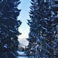 Sortie dans les Vosges