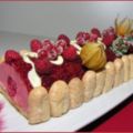 Bûche aux framboises et aux mangues