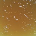 Compote de poires au jus de raisin, miel,[...]