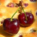 Clafoutis aux cerises