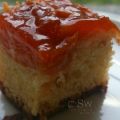 gâteau renversé à l'abricot | ters pisen[...]