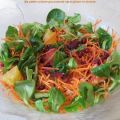 Salade vitaminée aux carottes, grenade et orange