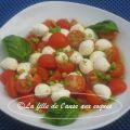 SALADE TOMATES ET BOCCONCINI À LA FLEUR D’AIL