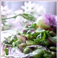 Salade de fèves fraîches, céleri branche et[...]