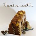 Tournicoti