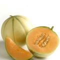 Le melon, c'est de saison !!