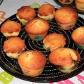 Muffins recette de base