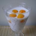 YAOURT COCO EXPRESS ET BILLES DE MANGUE