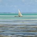 Zanzibar, Carnets de Voyage...