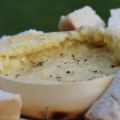 Camembert au BBQ