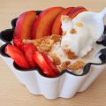 Frozen yogurt / Yaourt glacé