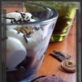 Mousse au chocolat/mangue-passion/chantilly[...]