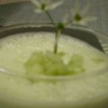 Potage glacé de concombre à l'ail des ours