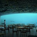 Un restaurant sous la mer ouvrira ses portes en[...]