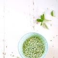 Terrine de pois cassés à la sauge - Split pea[...]