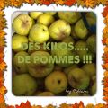 Pommes Pommes Pommes