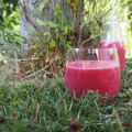 Smoothie tout rose, trèèèèès nourrissant !