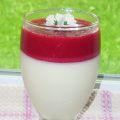 Panna Cotta au yogourt et coulis de framboise