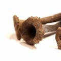 Trompettes de la mort à la crème